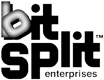 bSE logo